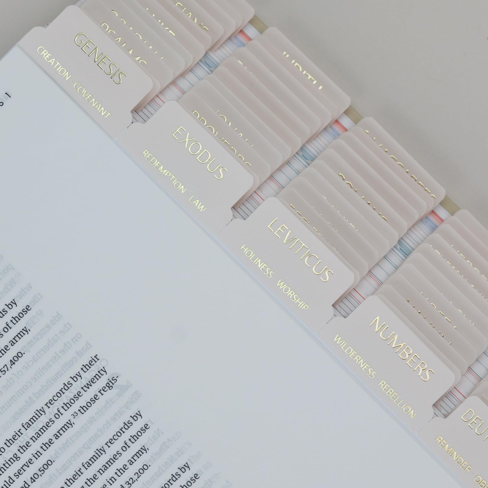 Bible Tabs (Blue and Floral)