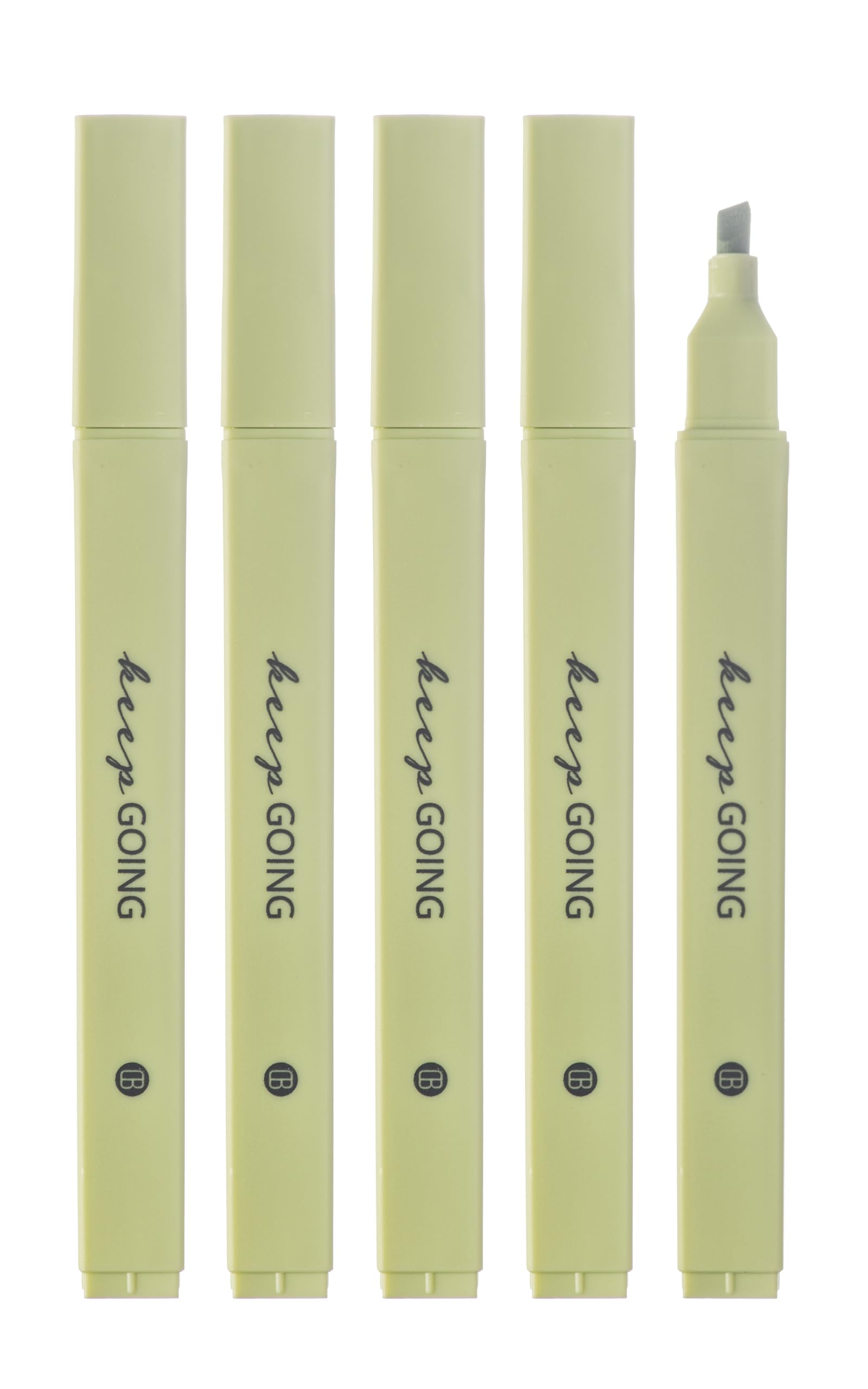 DIVERSEBEE Bible Highlighters