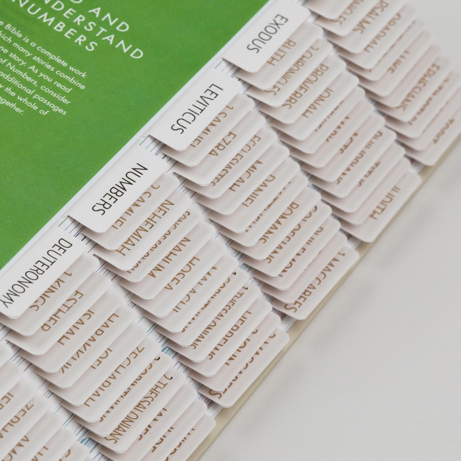 Bible Tabs (Blue and Floral)