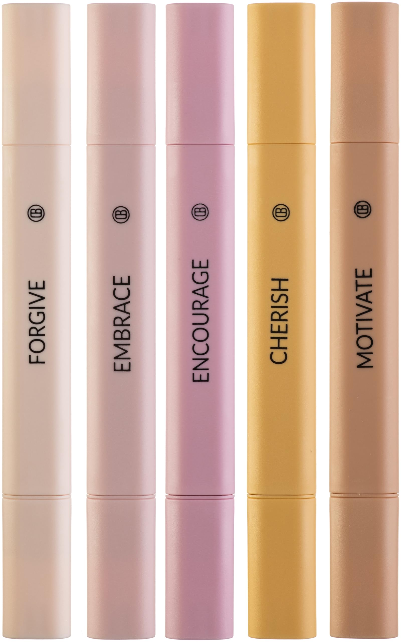 DIVERSEBEE Bible Highlighters Assorted Colors, 5 Pack