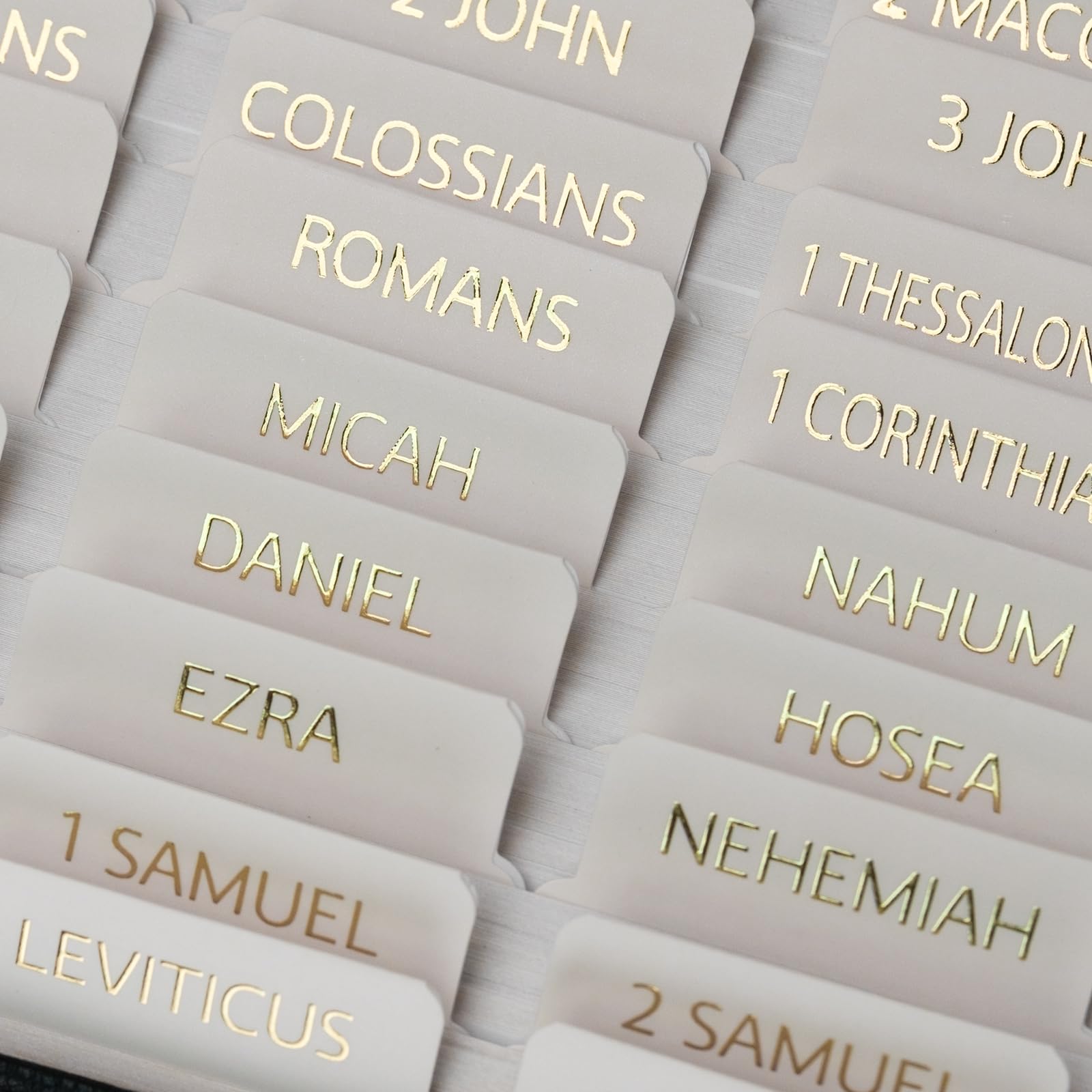 Bible Tabs (Blue and Floral)