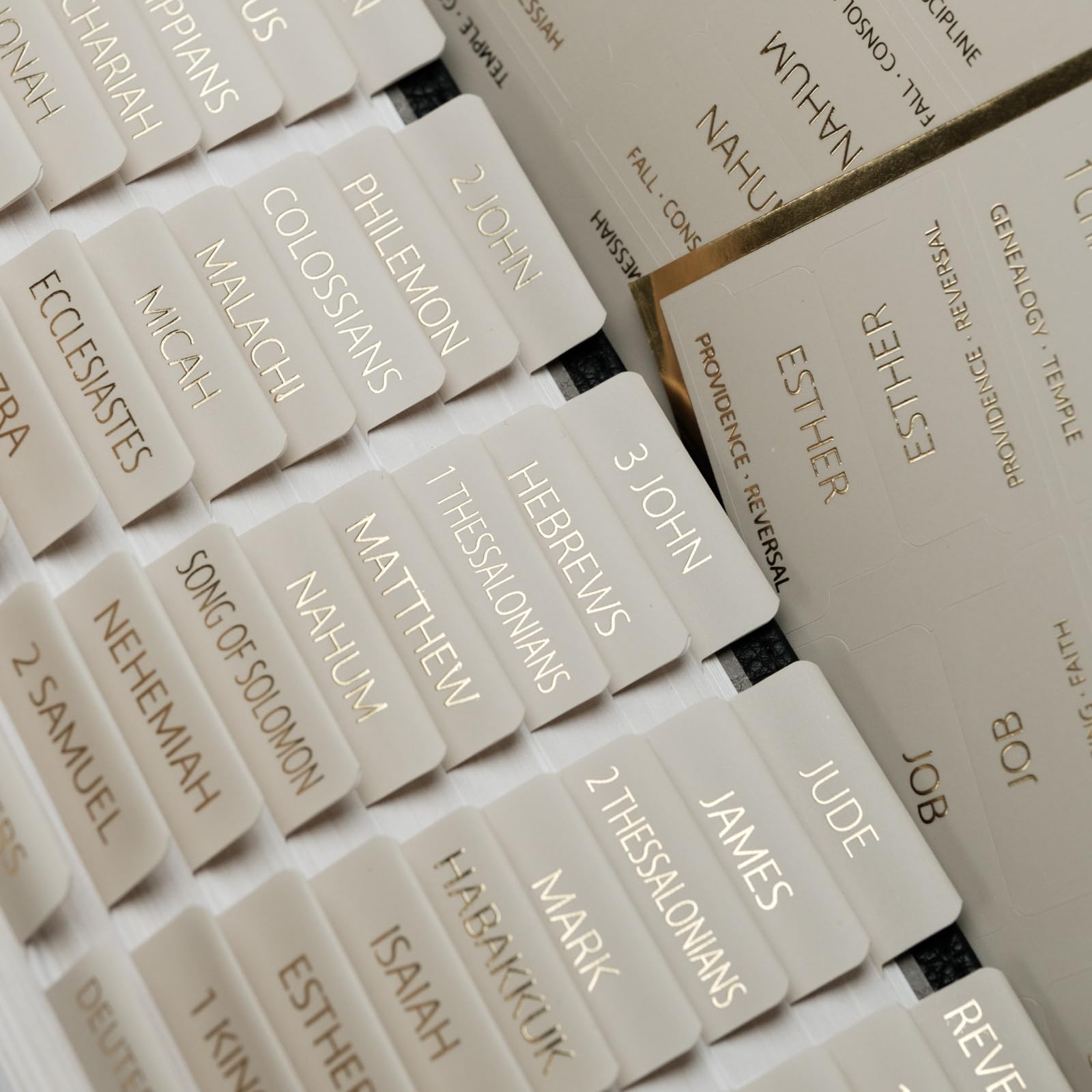 Bible Tabs (Blue and Floral)