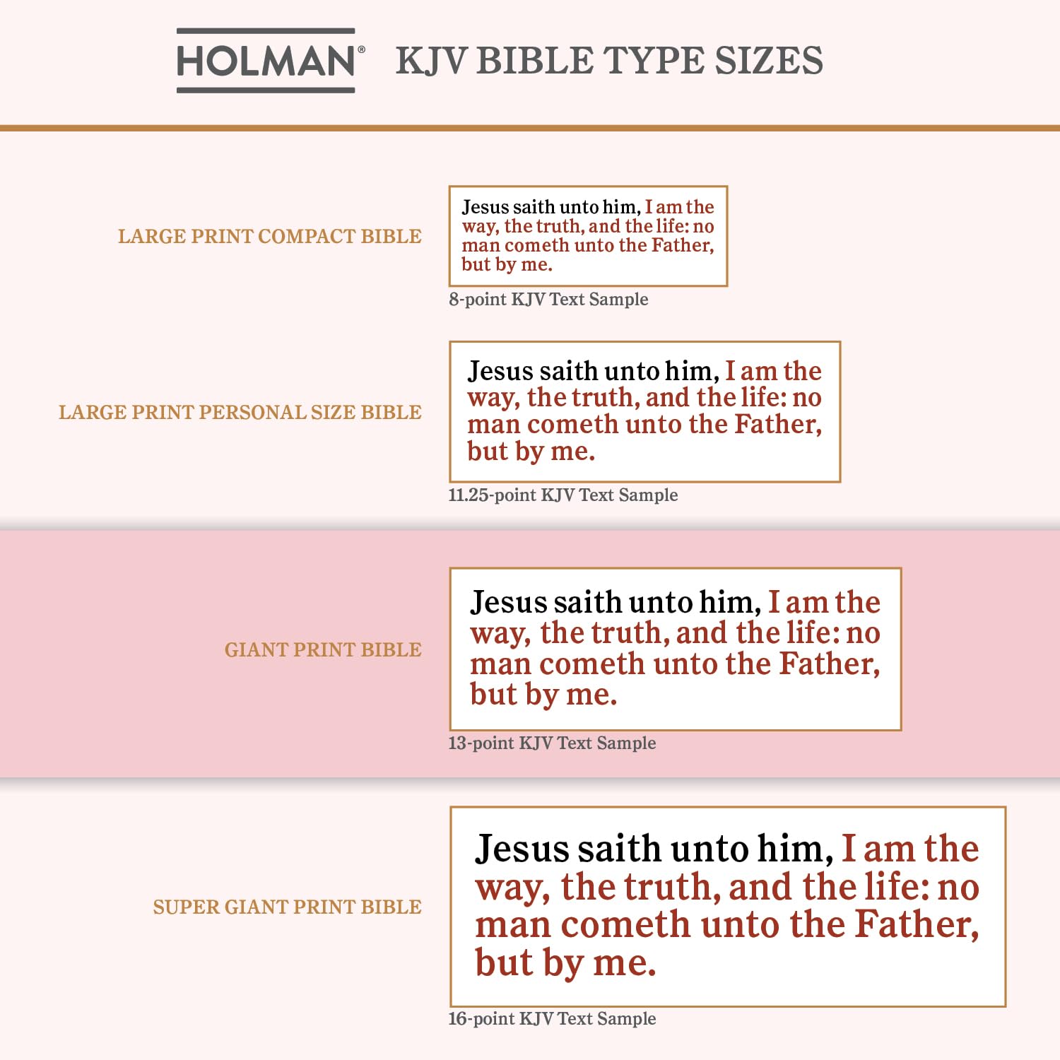 KJV Soft Pink Floral bible