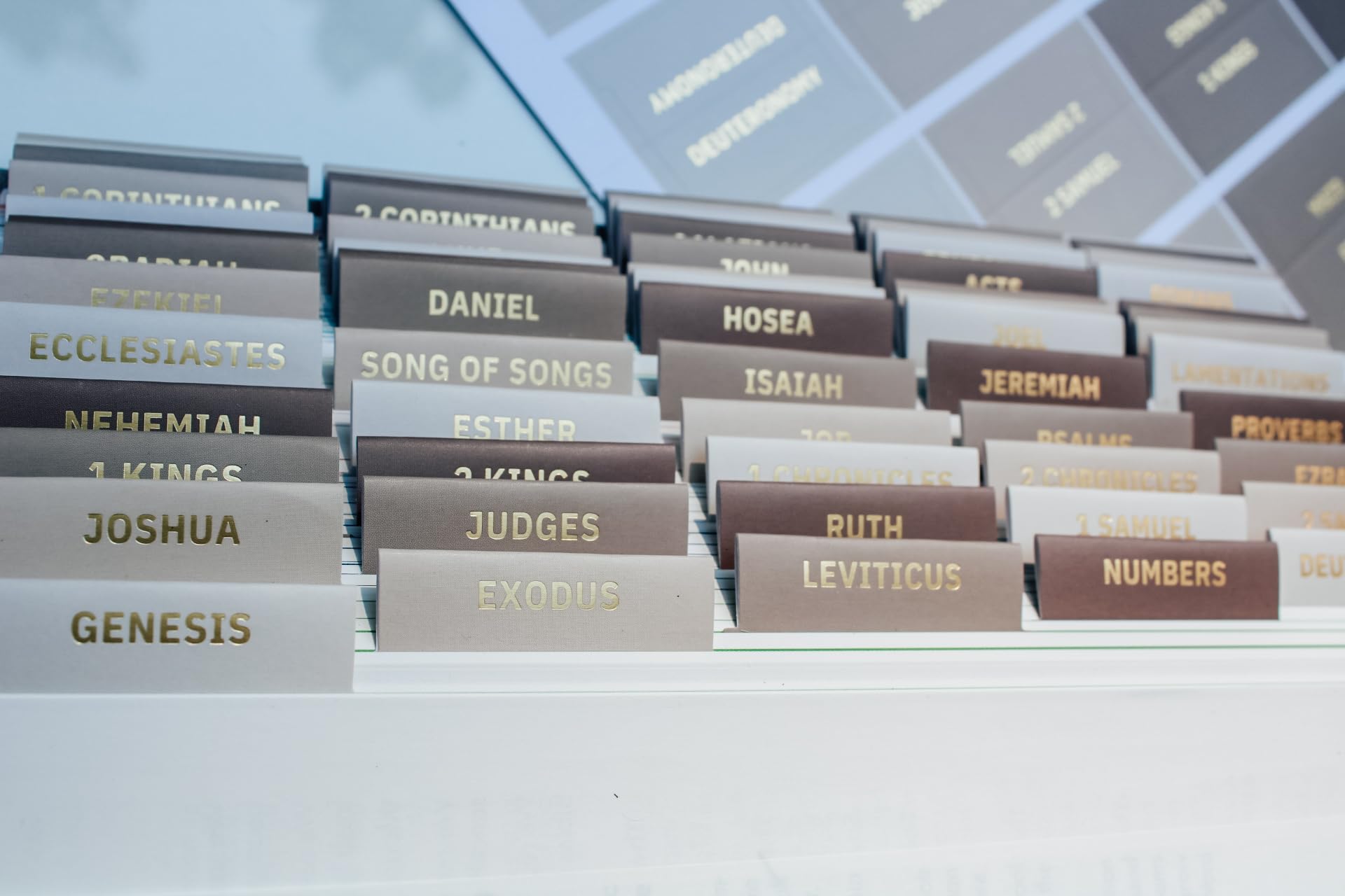 Laminated Bible Tabs, Earth Tone, Gold foil