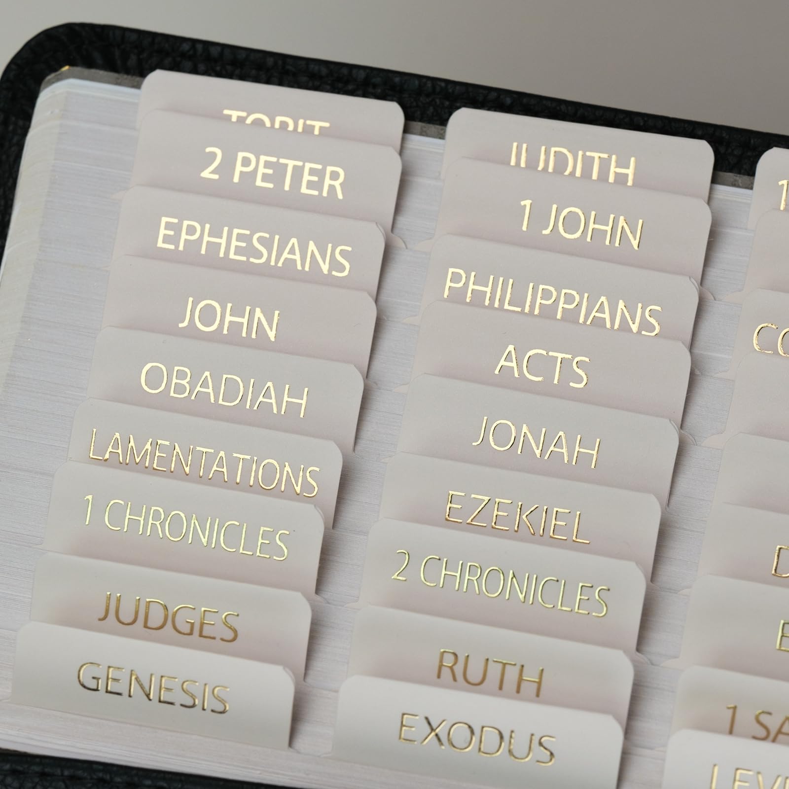 Bible Tabs (Blue and Floral)