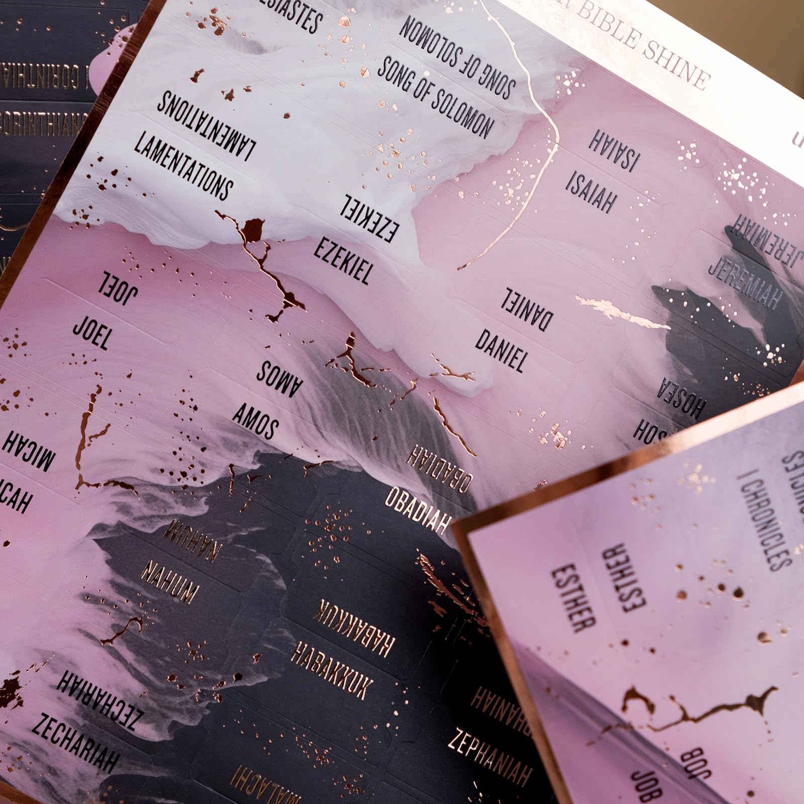 Bible Tabs (Blue and Floral)