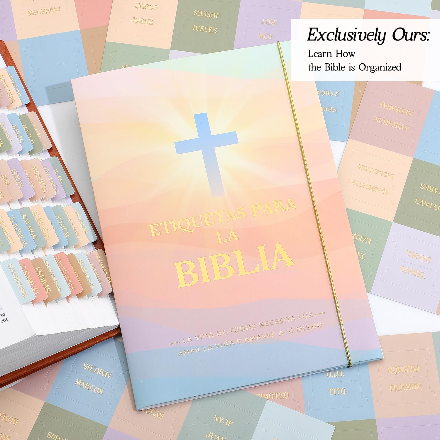 Bible Tabs For Women