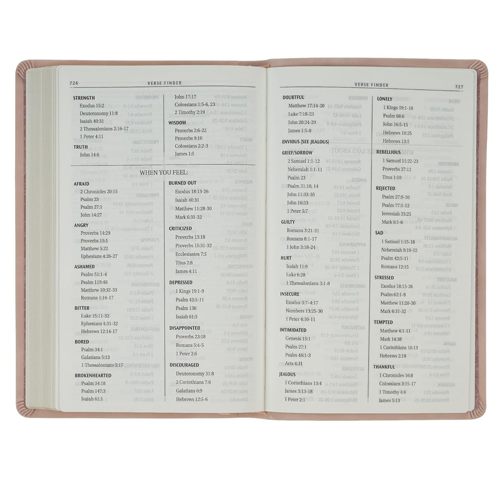 KJV Holy Bible, Taupe