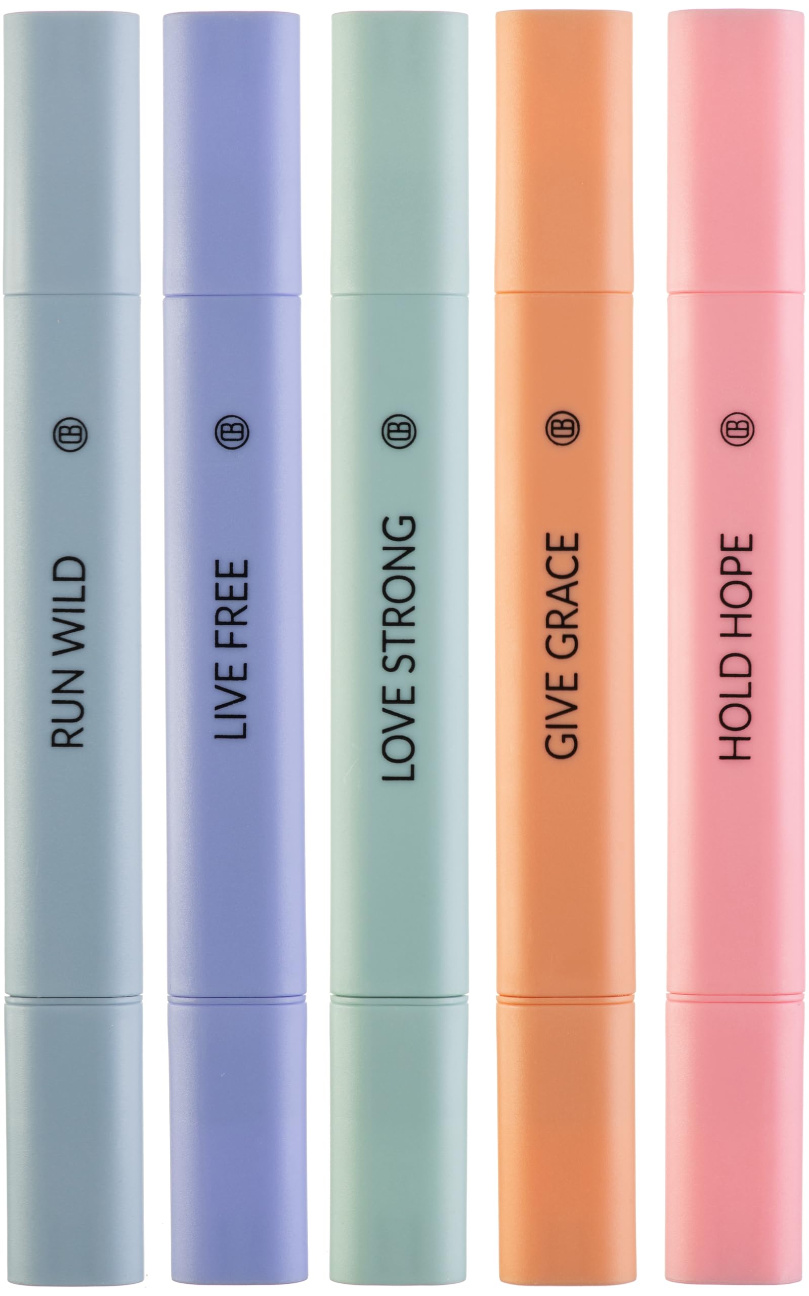 DIVERSEBEE Bible Highlighters Assorted Colors, 5 Pack
