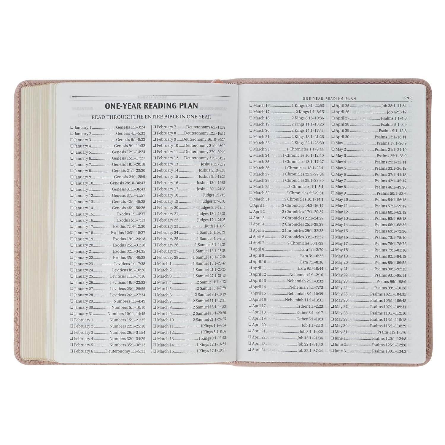 KJV Holy Bible, Pink