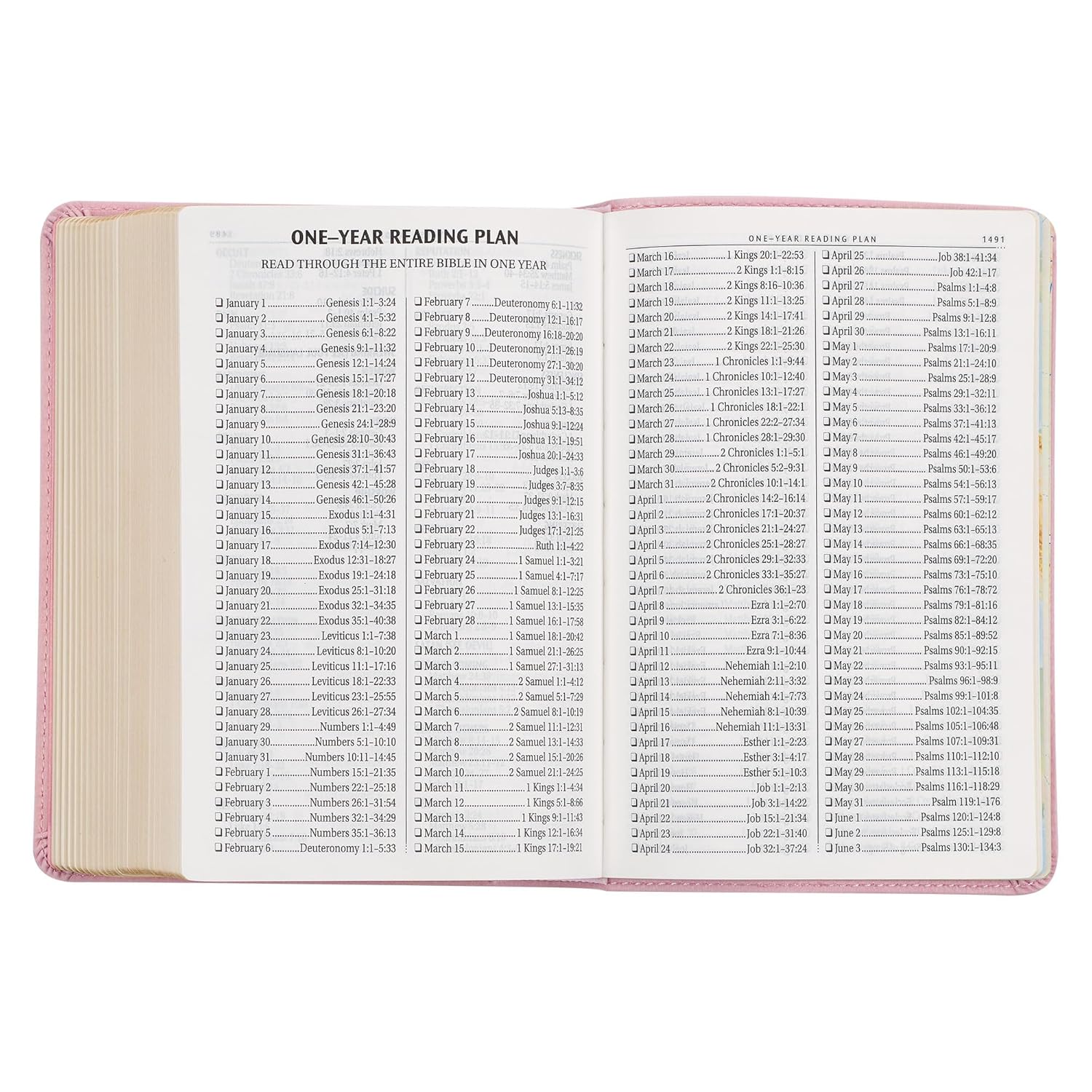 KJV Holy Bible, Compact Large Print Faux Leather Red Letter Edition Ribbon Marker, King James Version, Ballet Pink (KJV Compact LP Editions)