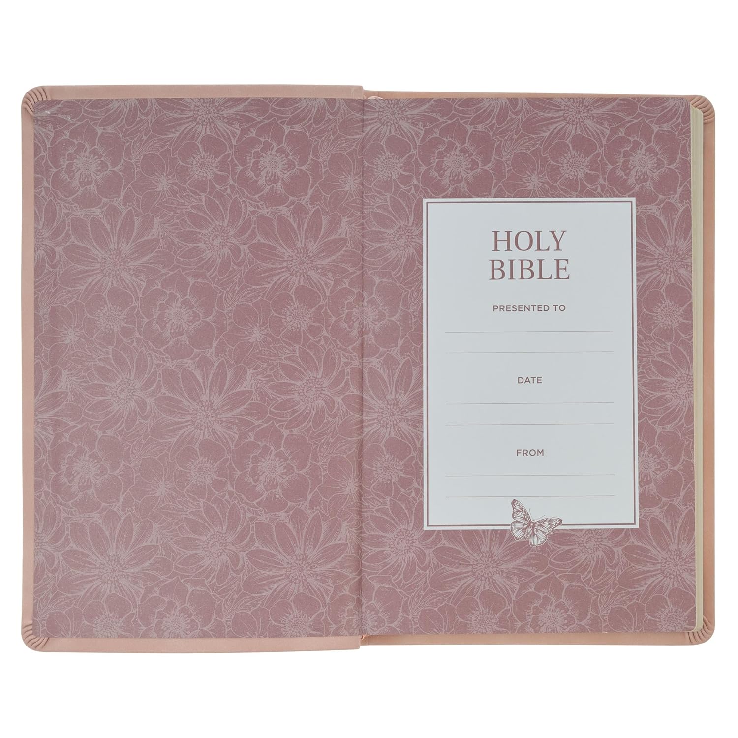 KJV Holy Bible, Taupe