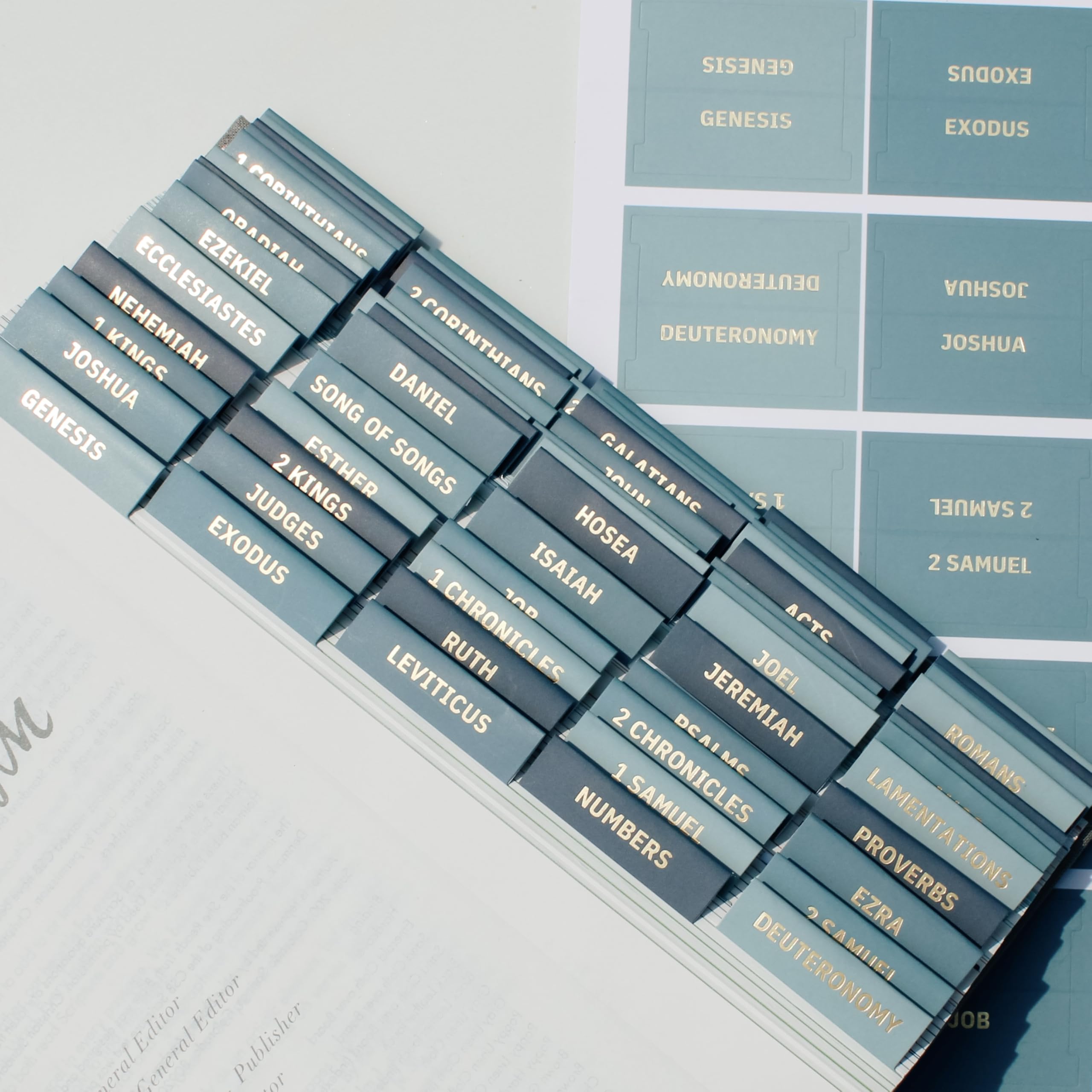 Laminated Bible Tabs, Earth Tone, Gold foil