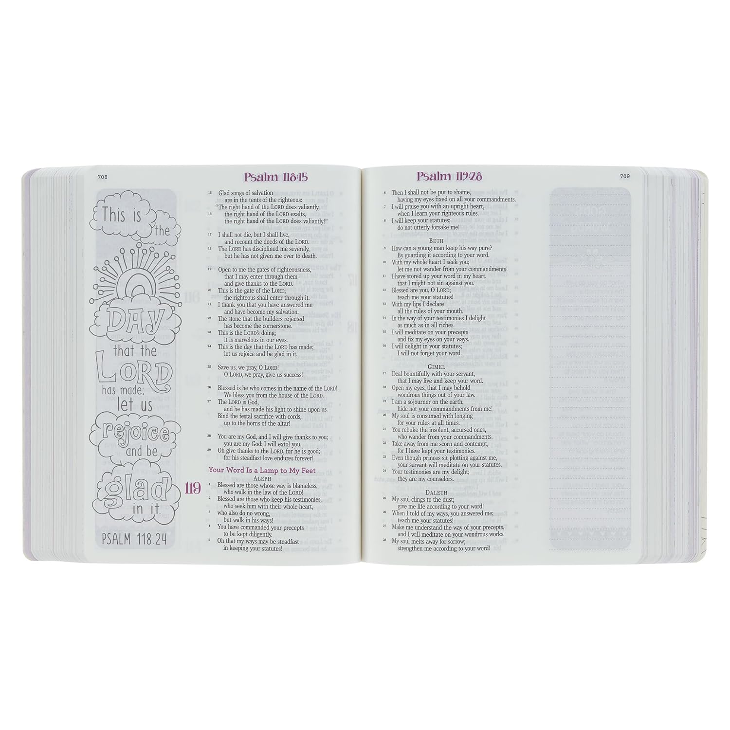 ESV Holy Bible, My Creative Bible For Girls