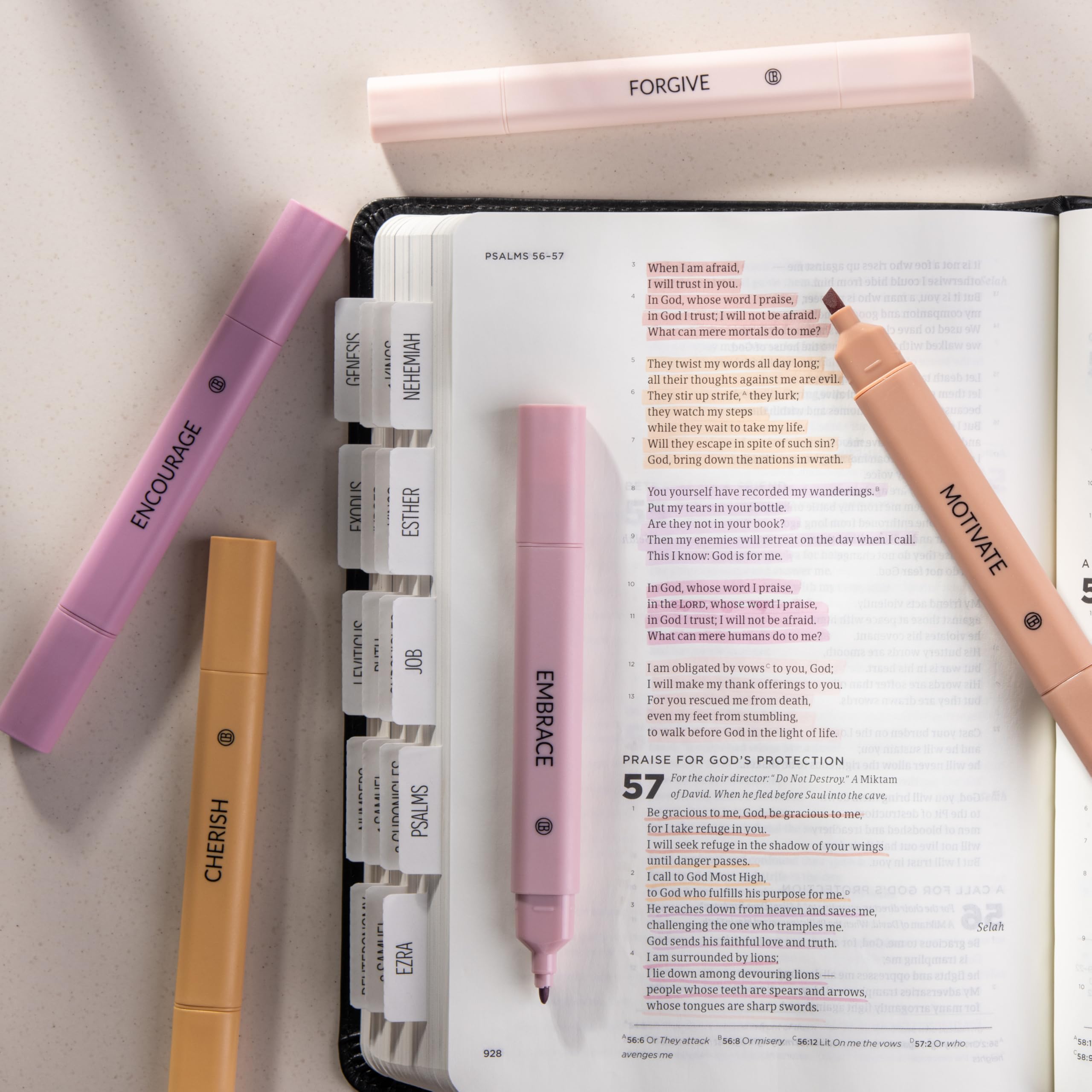 DIVERSEBEE Bible Highlighters Assorted Colors, 5 Pack