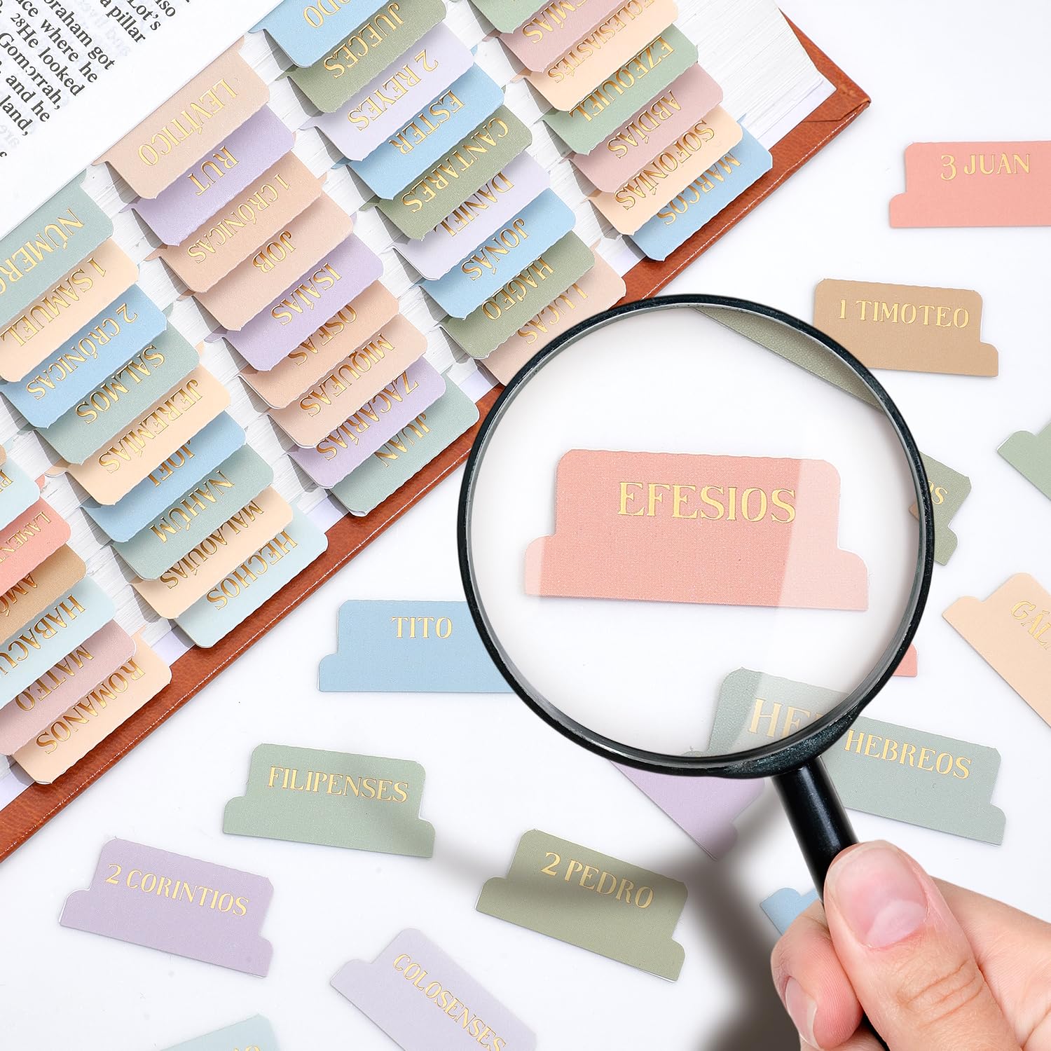 Bible Tabs For Women