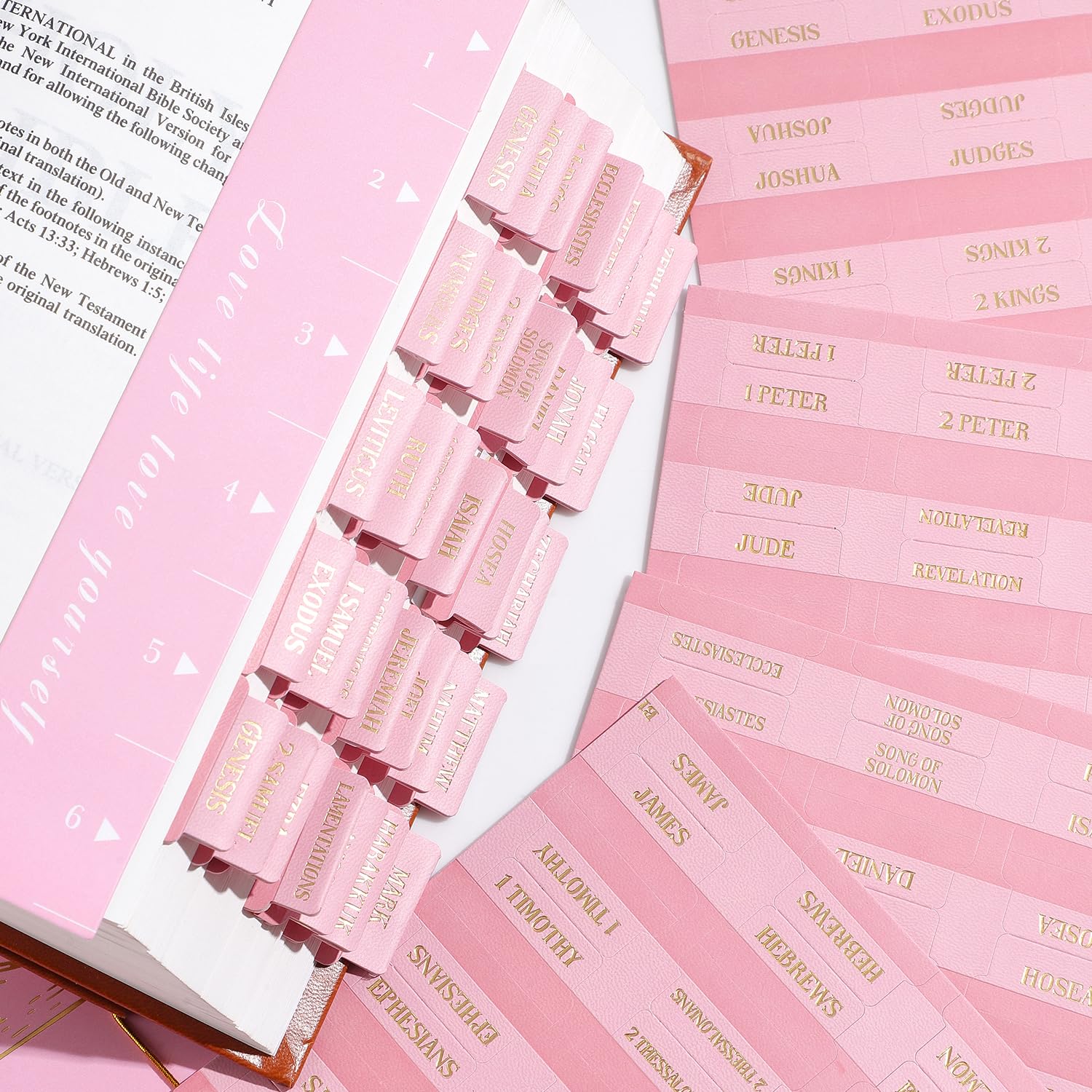 Bible Tabs For Women