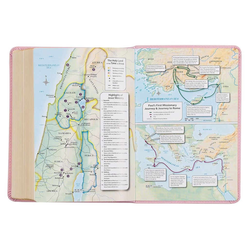 KJV Holy Bible, Compact Large Print Faux Leather Red Letter Edition Ribbon Marker, King James Version, Ballet Pink (KJV Compact LP Editions)