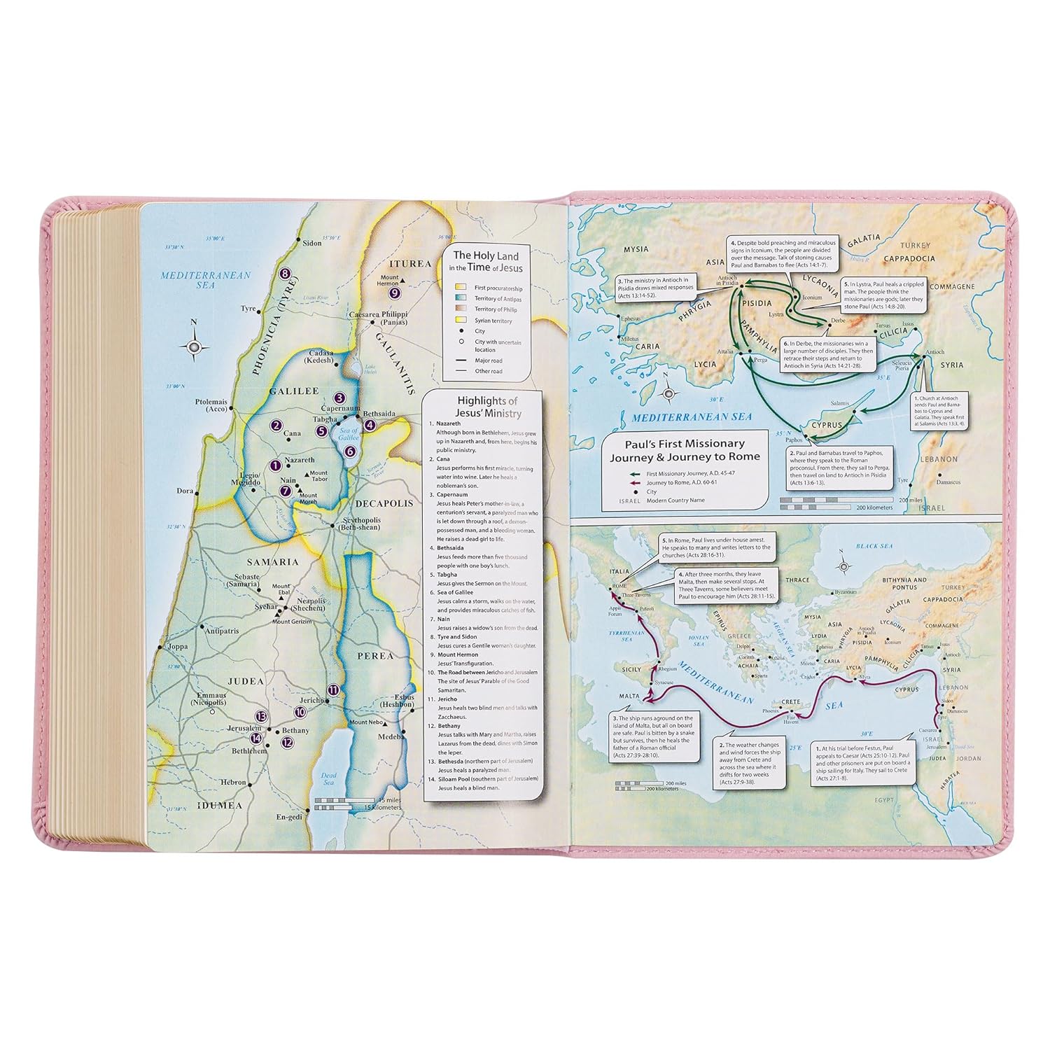 KJV Holy Bible, Compact Large Print Faux Leather Red Letter Edition Ribbon Marker, King James Version, Ballet Pink (KJV Compact LP Editions)