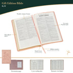 KJV Holy Bible, Taupe