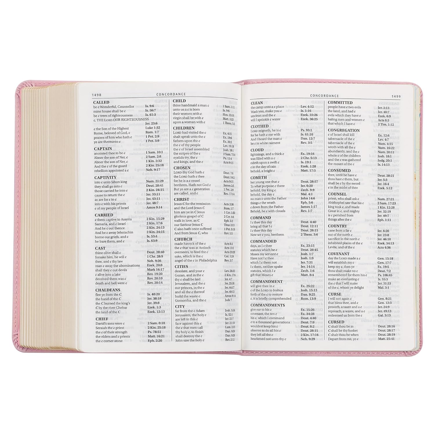 KJV Holy Bible, Compact Large Print Faux Leather Red Letter Edition Ribbon Marker, King James Version, Ballet Pink (KJV Compact LP Editions)