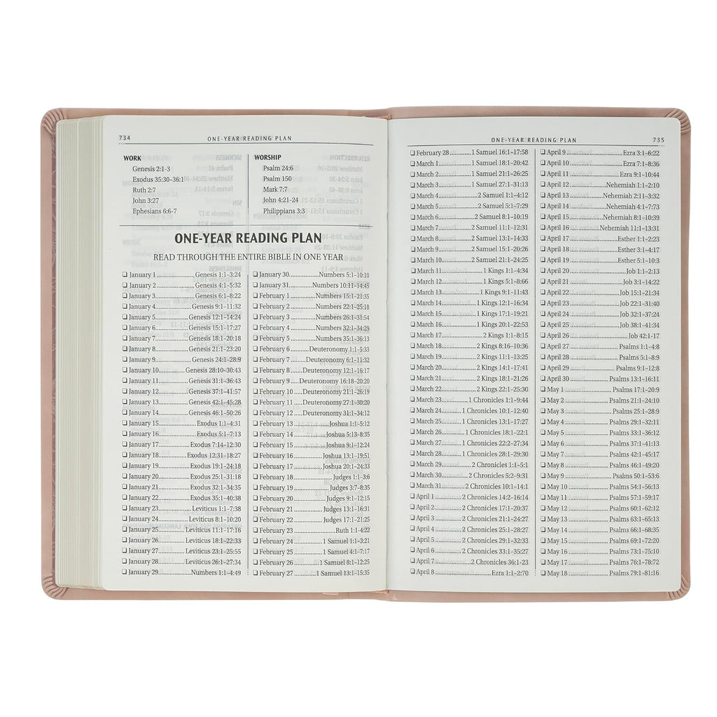 KJV Holy Bible, Taupe