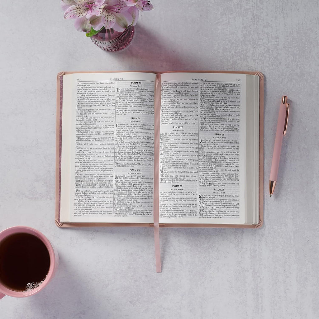 KJV Holy Bible, Taupe