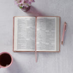 KJV Holy Bible, Taupe