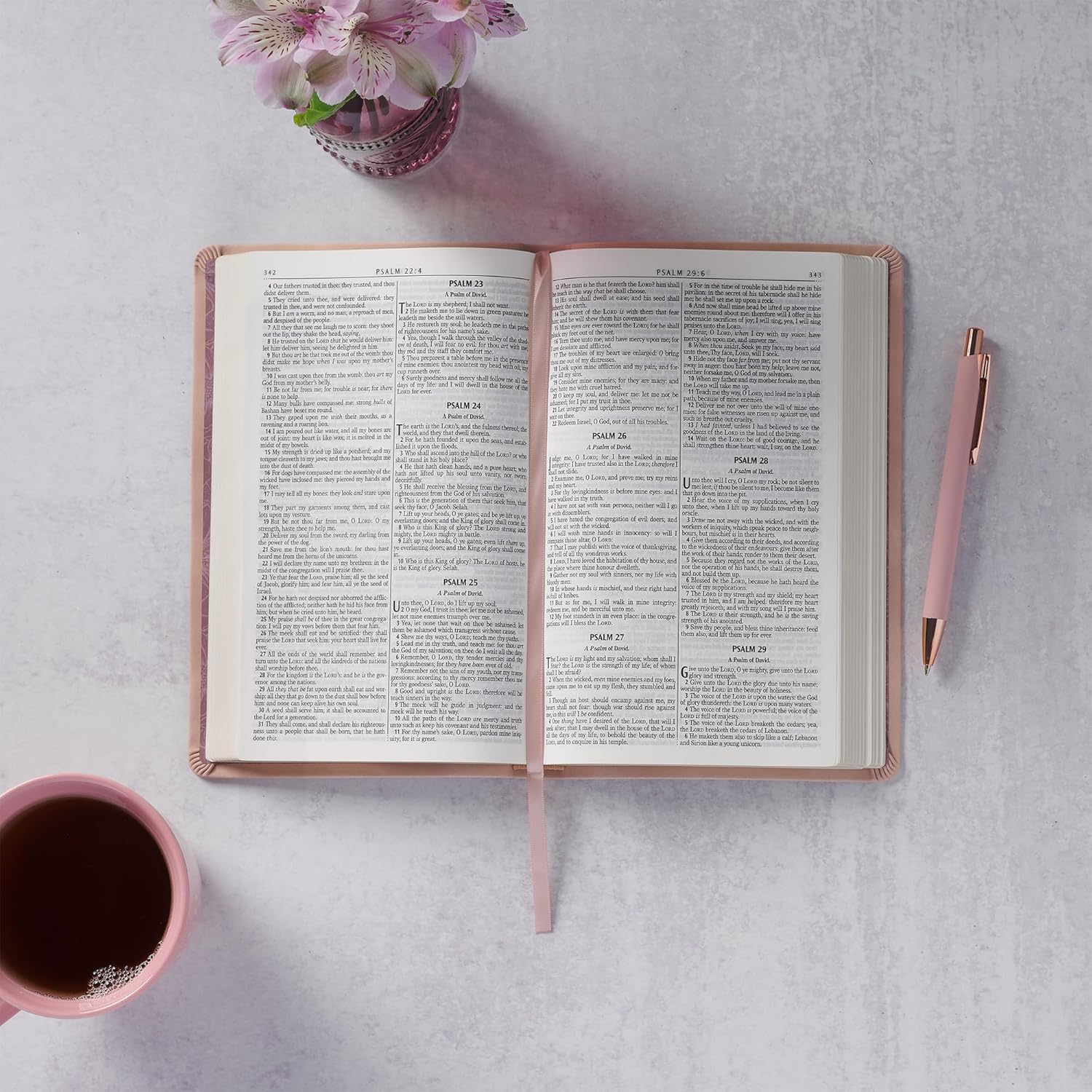 KJV Holy Bible, Taupe