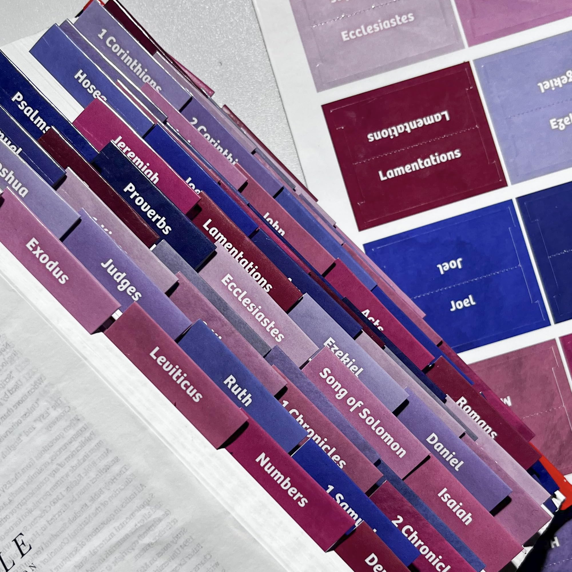 Laminated Bible Tabs, Earth Tone, Gold foil