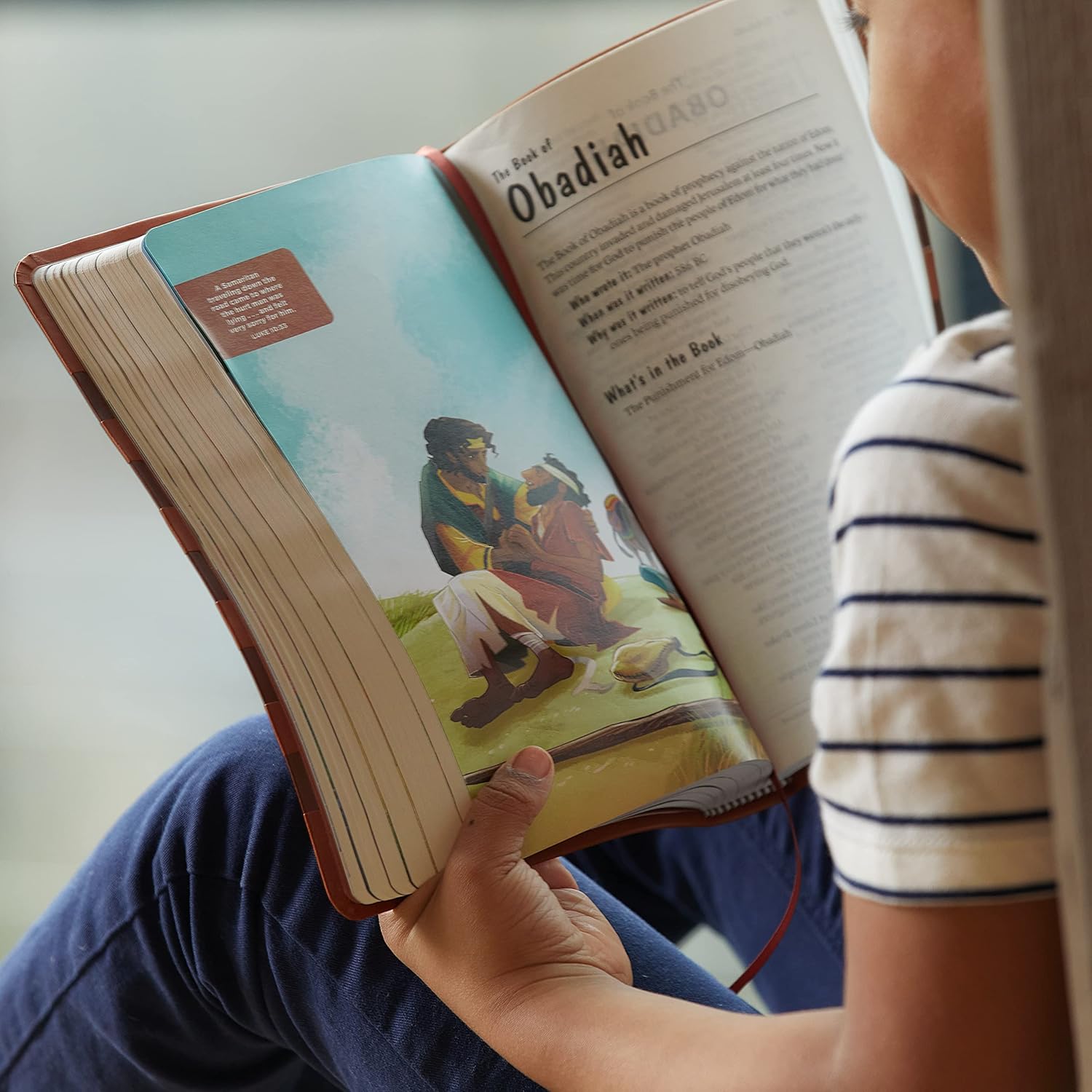 ICB, Holy Bible, Hardcover