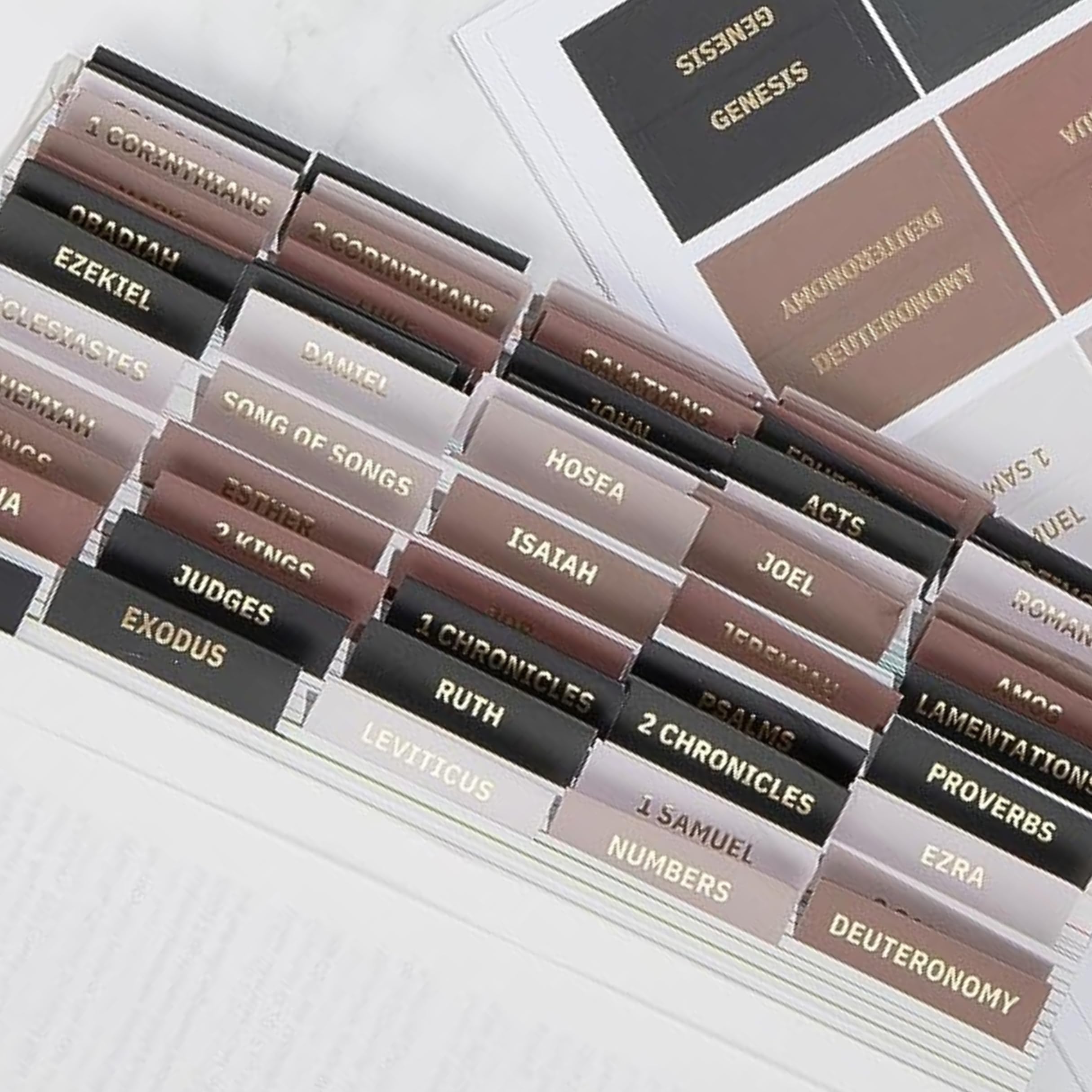 Laminated Bible Tabs, Earth Tone, Gold foil