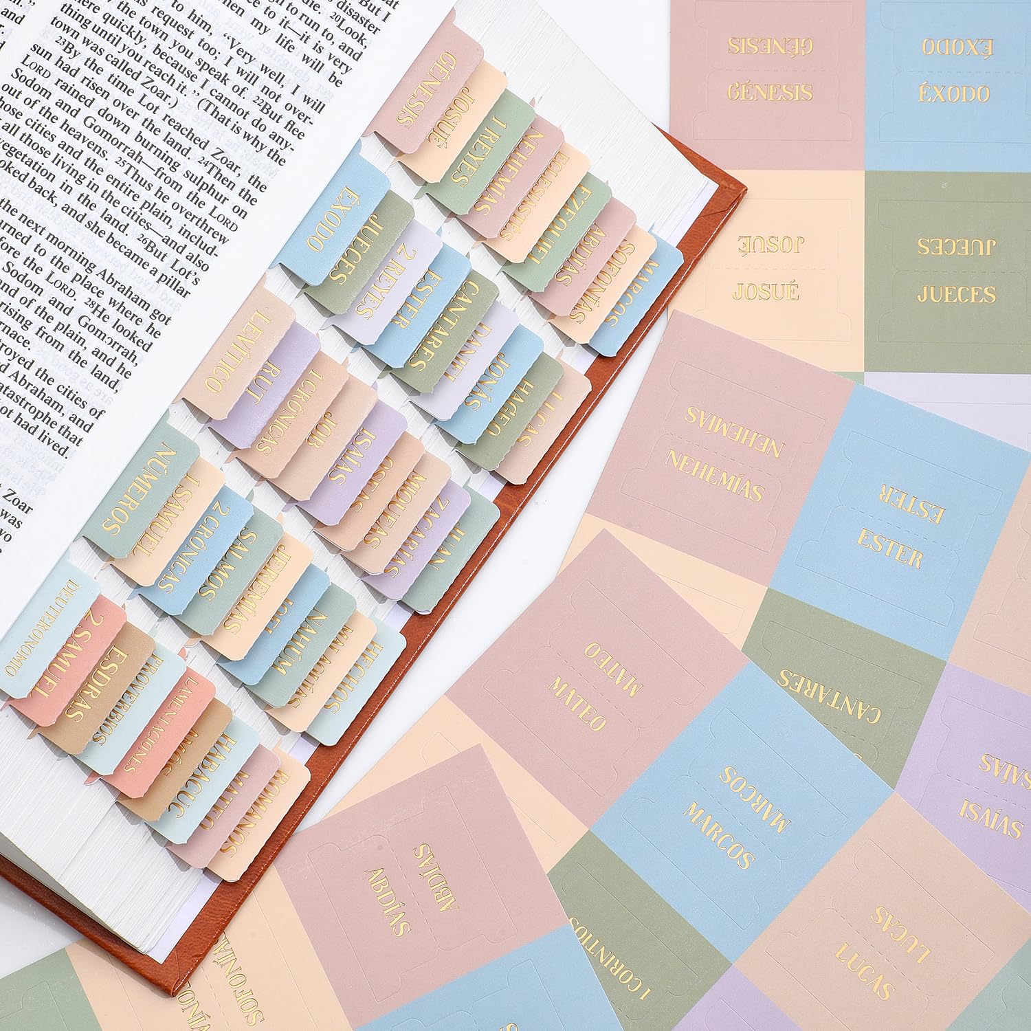 Bible Tabs For Women