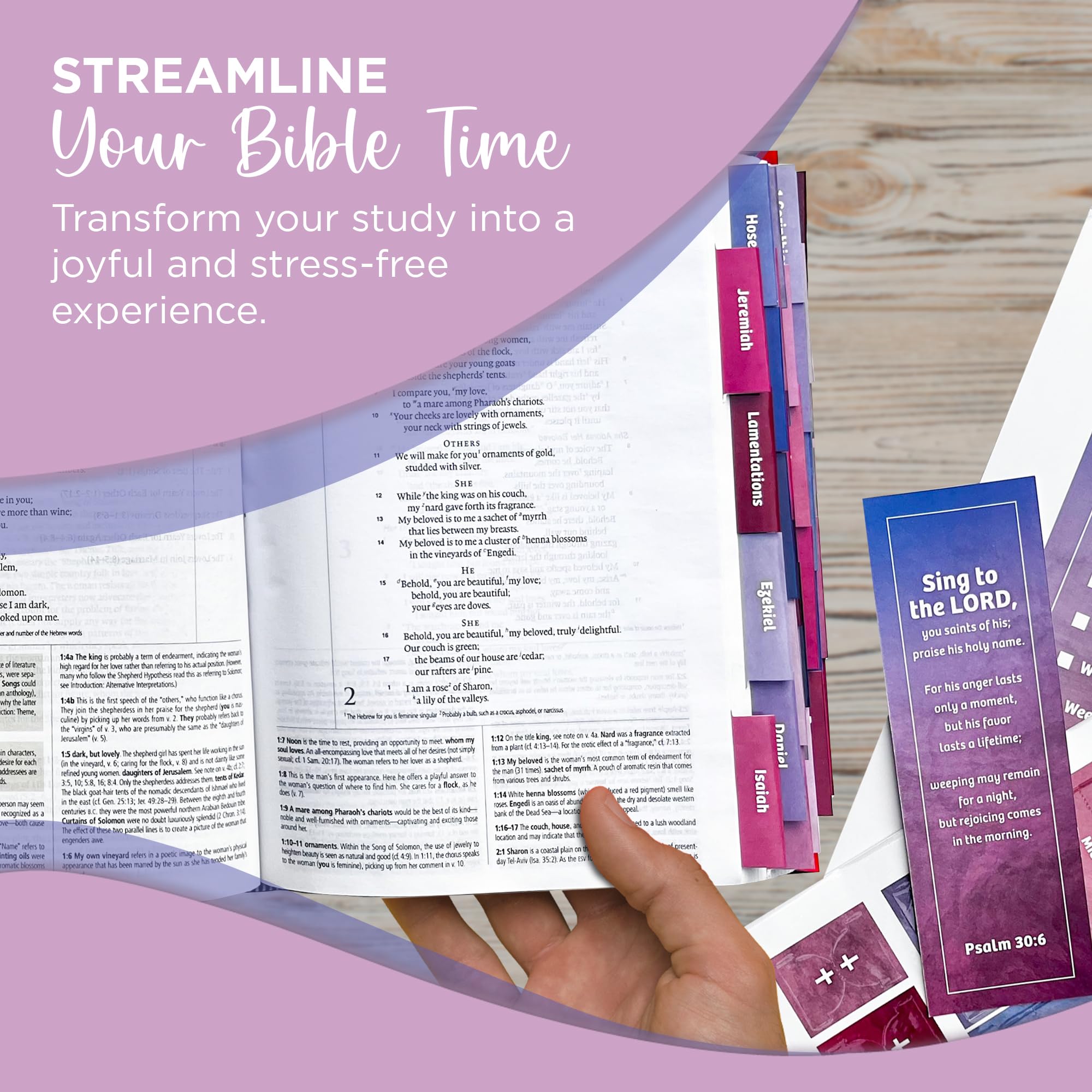 Laminated Bible Tabs, Earth Tone, Gold foil