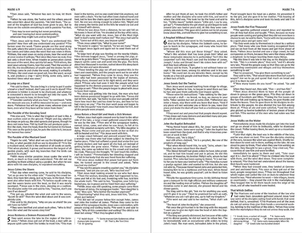 NIV, Holy Bible for Kids