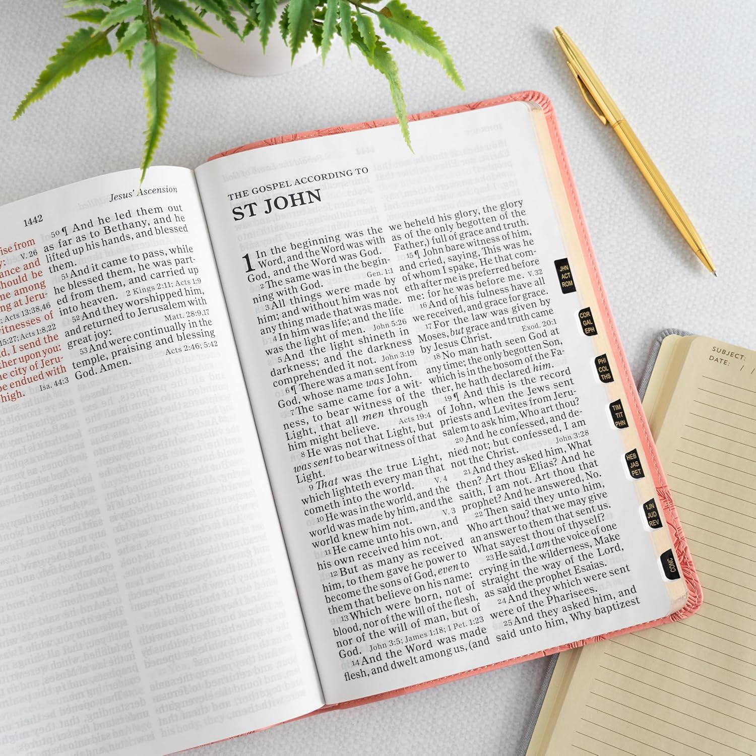 KJV Soft Pink Floral bible