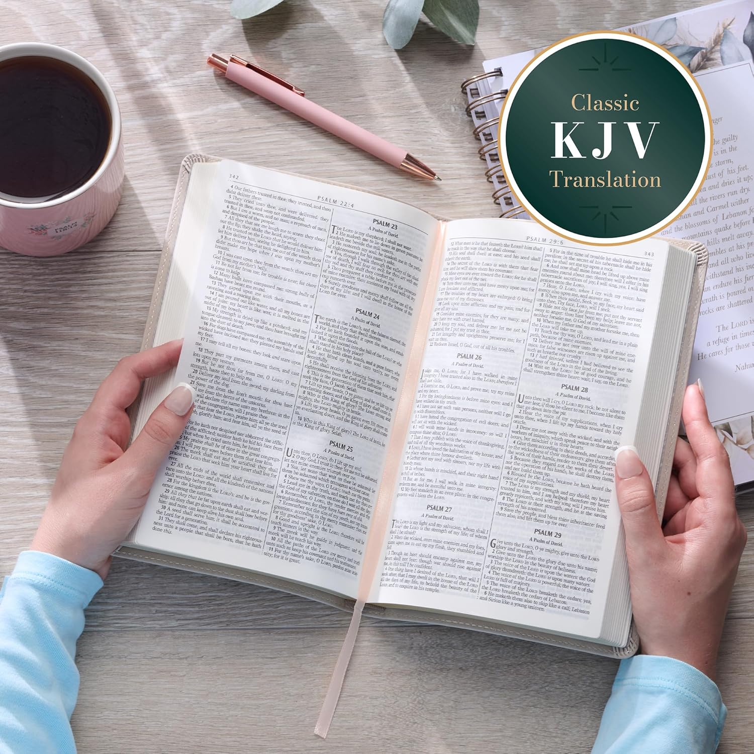 KJV Holy Bible, Taupe